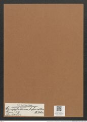 Campylodiscus bifurcatus A. Schm. (de-Toni-Nr.: Genus 57, Species 2483) Zeichnungen Sammlung Grunow Mappe 02657 (Herbarium_W_Grunow_drawings_Folder_02657)